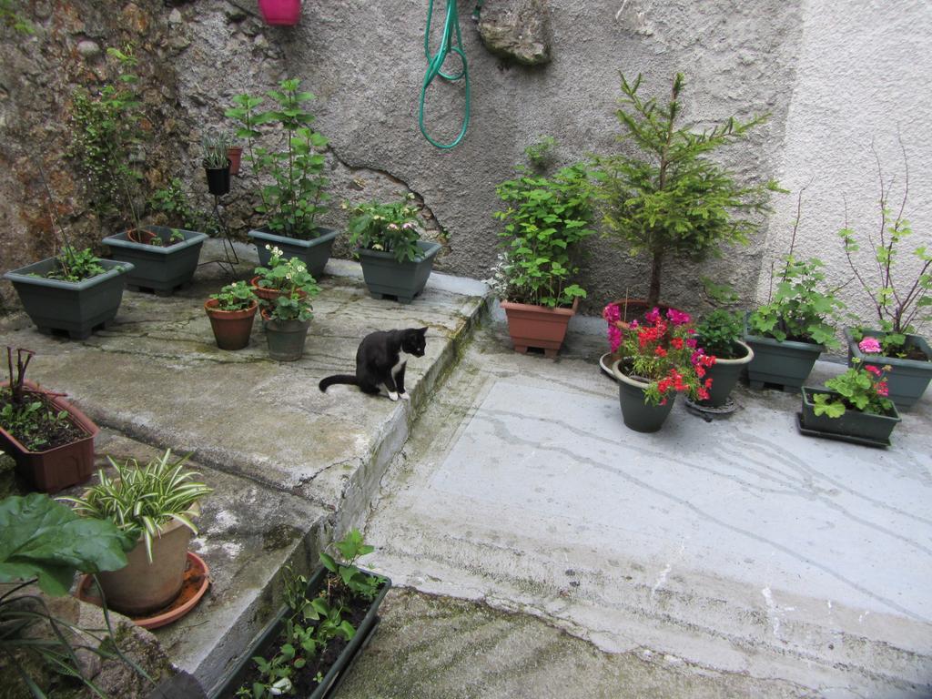 La Maison De Natasha